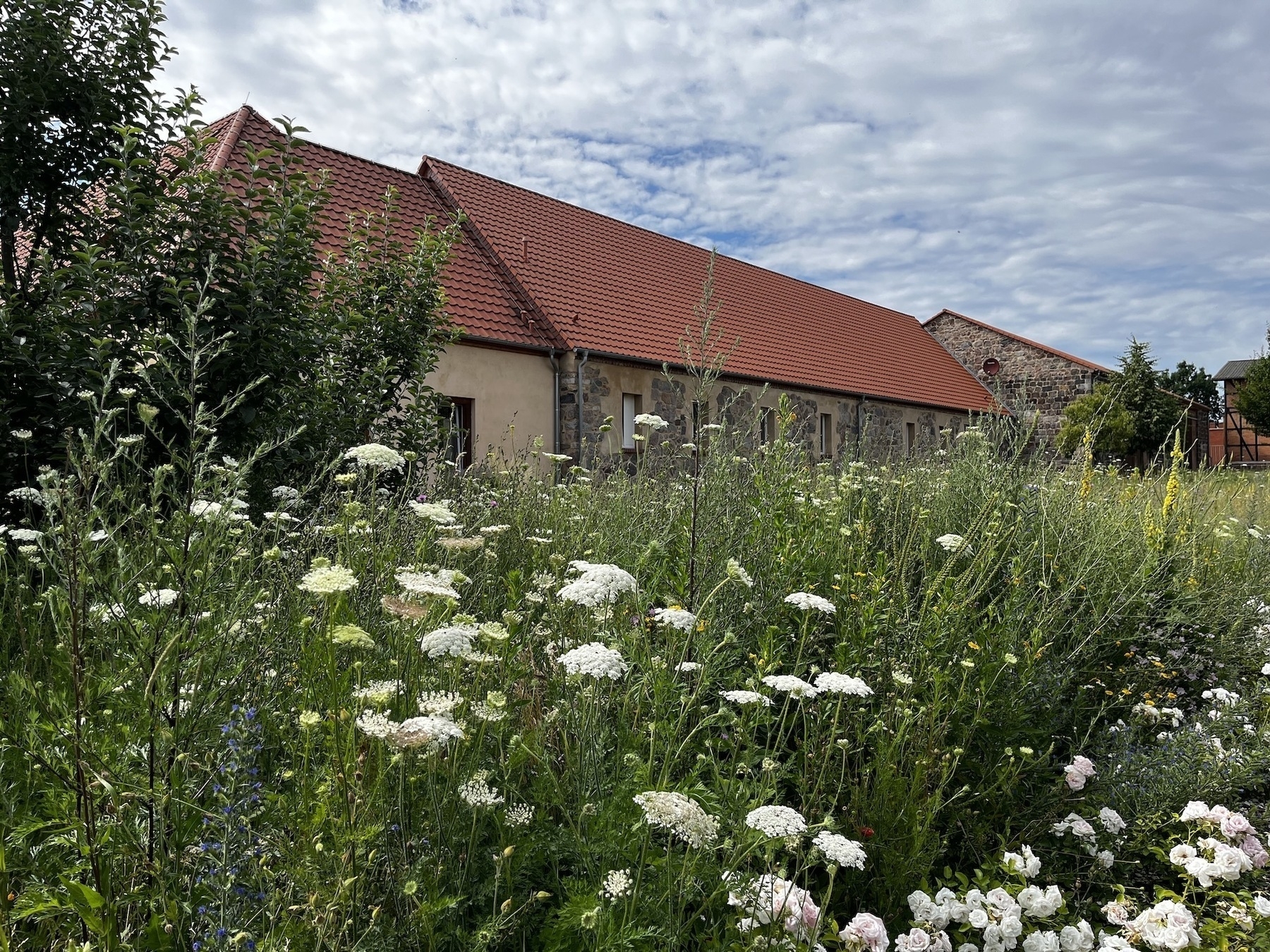 Ein Gebäude mit rotem Ziegeldach steht hinter einer Wiese voller Wildblumen und hohem Gras unter einem bewölkten Himmel.