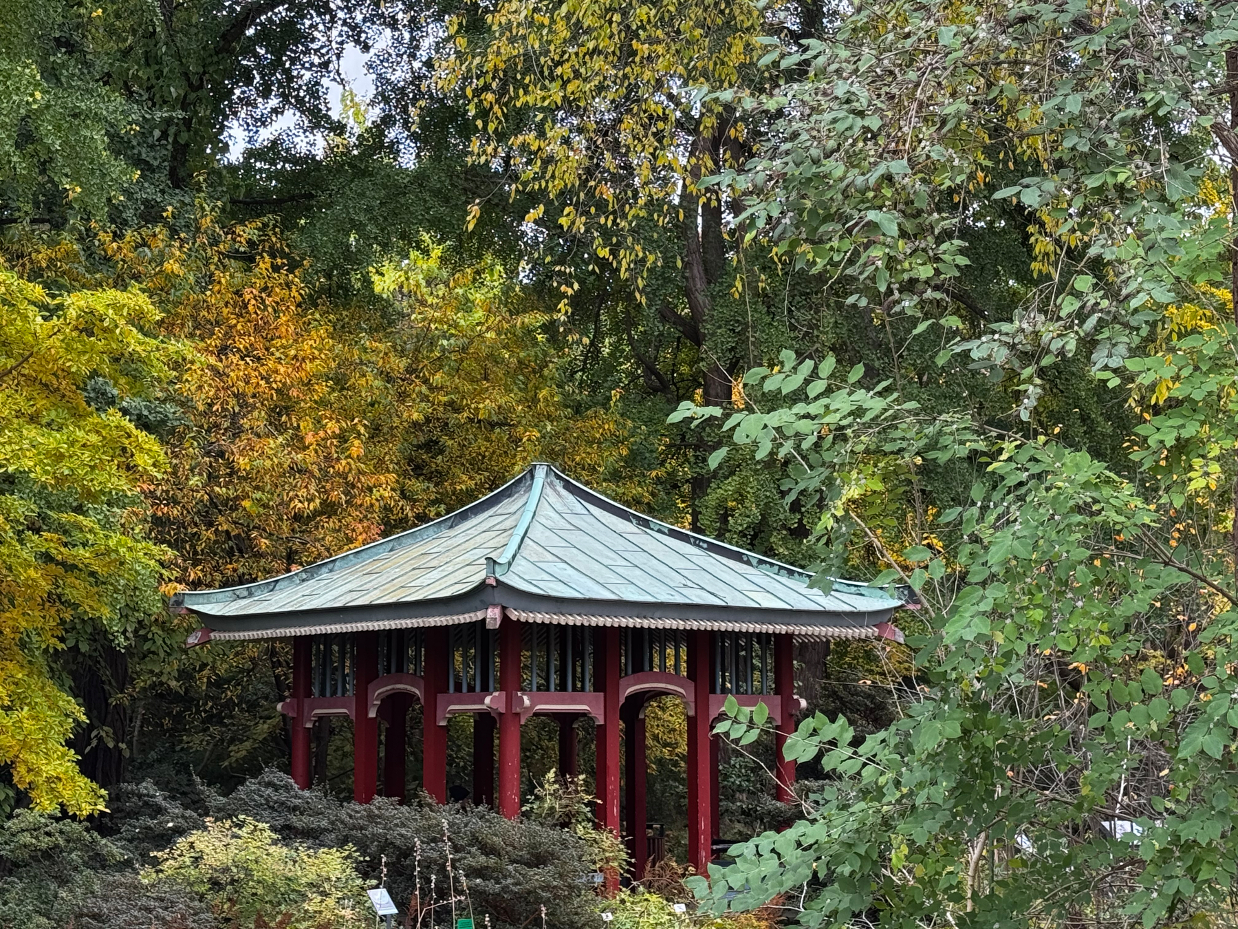 Eine traditionelle asiatische Pagode steht inmitten eines herbstlich gefärbten, dichten Waldes.
