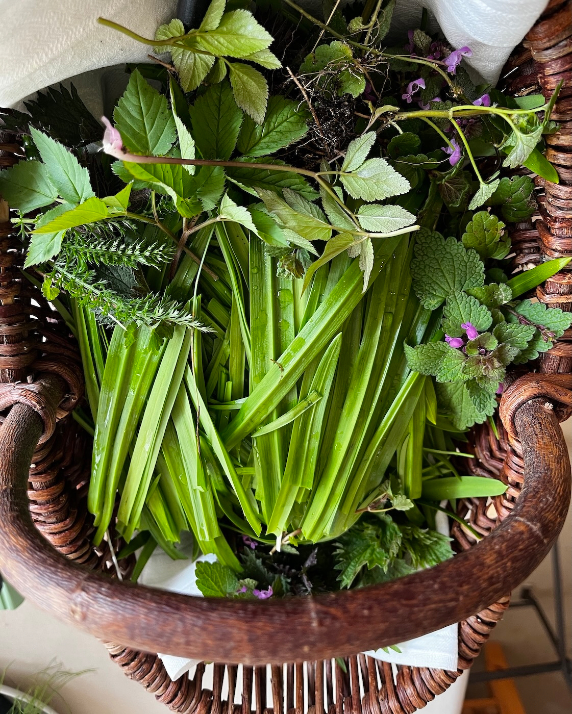 Ein Korb voller grüner Blätter und Kräuter.